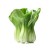 mlody-bok-choy mlody bok choy