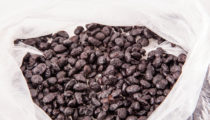 Douchi fermentowana czarna soja